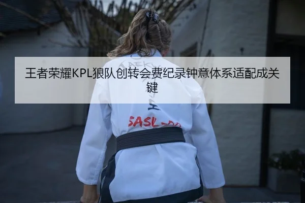 王者荣耀KPL狼队创转会费纪录钟意体系适配成关键